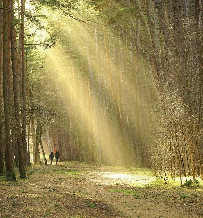 cd3ebba2f52563b8d7eeb28641affe66 (1)-crop